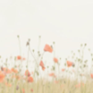 Meet your Posher, Sienna